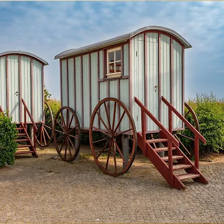 Bansin Seepferdchen 6 * Heringsdorf (Usedom)