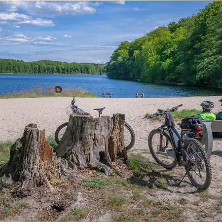 Bansin Seepferdchen 6 Ostseebad Heringsdorf